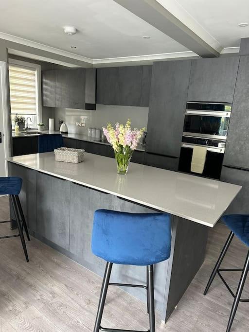 Cameron Coach House Modern Property In Murrayfield 爱丁堡 外观 照片
